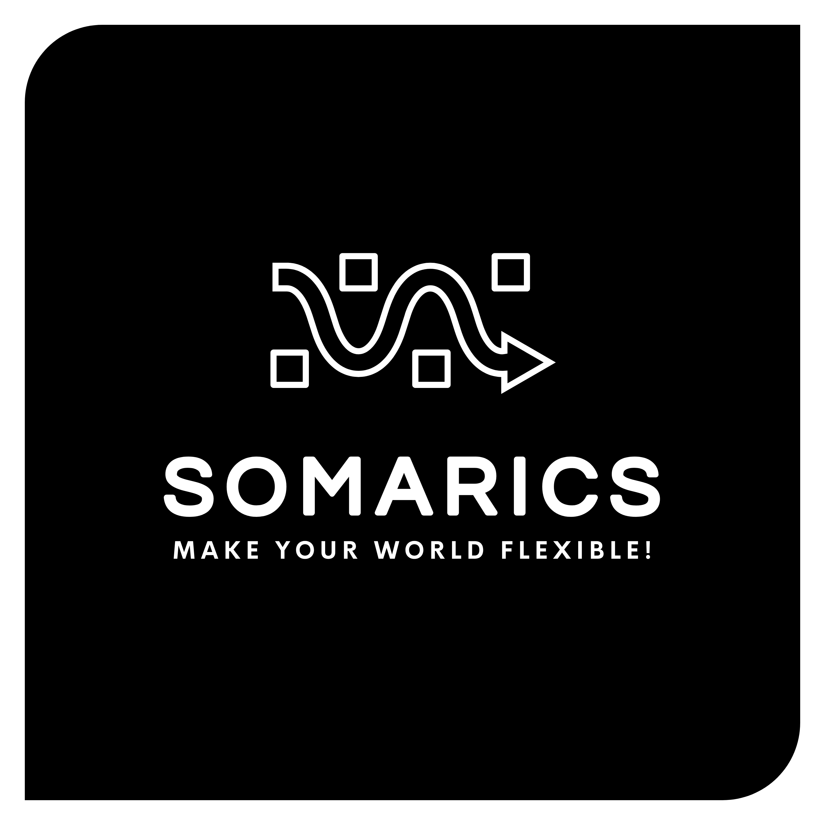 SOMARICS